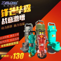 Central Asia Qingshui household 220V small agricultural irrigation fountain high lift range large flow pump well submersible pump
