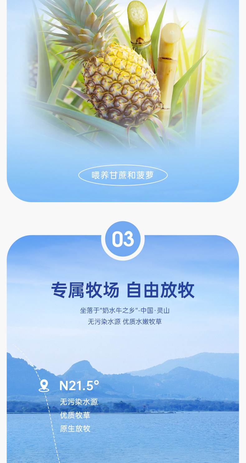 安享好物 安享A级纯奶-百菲酪4.2水牛奶 国标