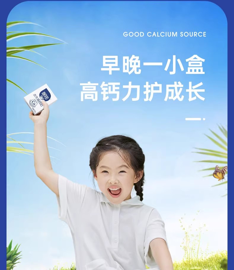 安享好物 安享D级纯奶-百菲酪水牛高钙奶 国标