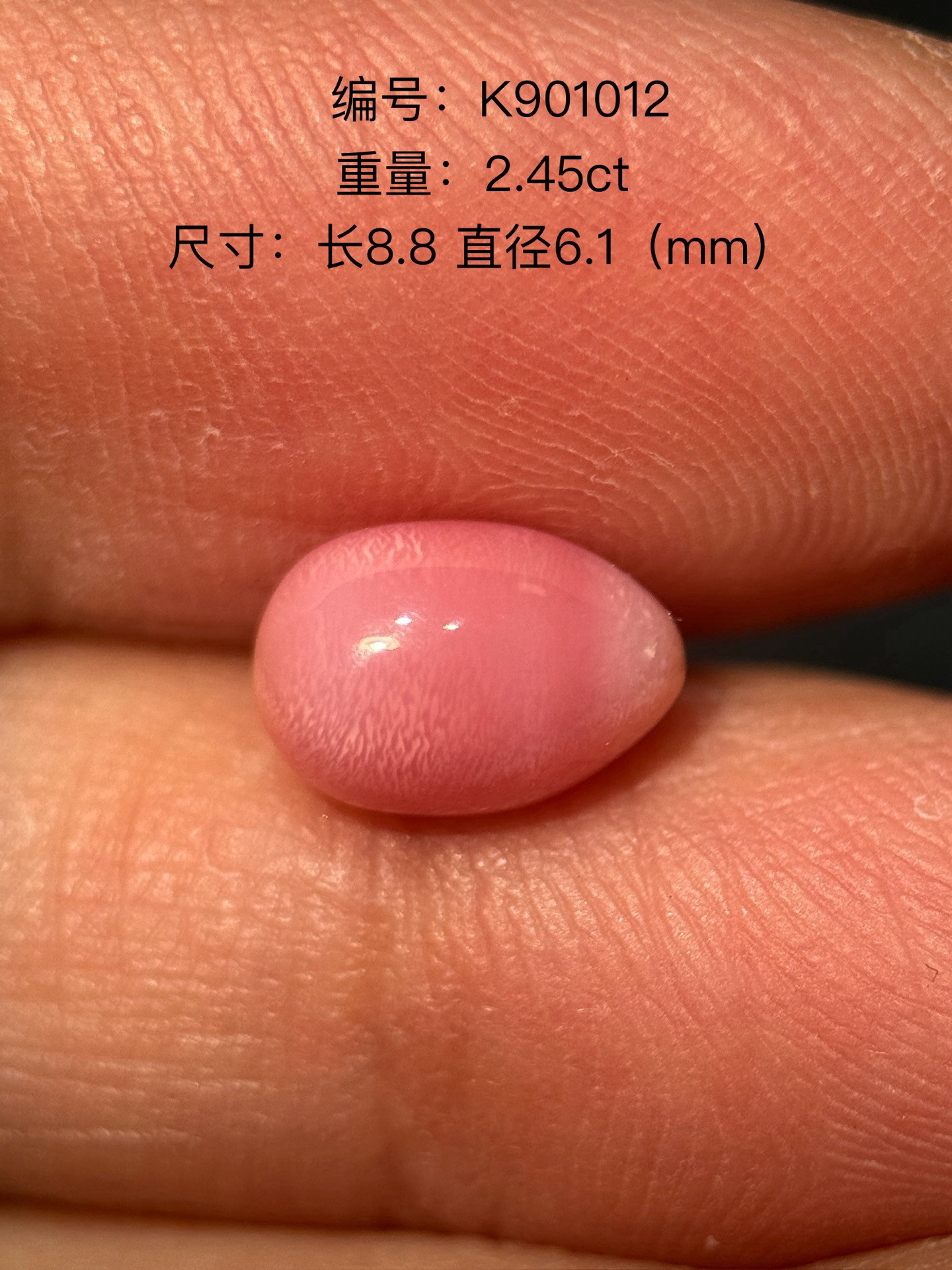 k901012号2.45 ct野生珍珠海螺珠孔克珠：海洋之魂，璀璨夺目！-裸珠-淘宝好物网
