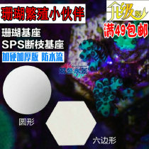 Coral breeding base SPS broken branch button base Round hexagonal size leather LPS cutting cornerstone base