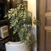 1 2 meters of encrypted Nandai bamboo hanging orchid hanging leaves pipe cover decorative flower arrangement vines