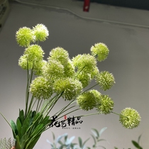 5 White green hair ball onion flower hydrangea landscape props soft dress flower art dandelion white photography landscape ins