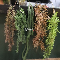 Simulation foxtail wall hanging green planting hanging flower hanging orchid belt beard plastic pine hanging vine green vine autumn red grass