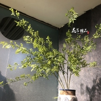 Simulation of Wenzhu Persian grass sapling forest flower arrangement small green leaf serrated leaf soft glue handcuttle flower soft grass plant