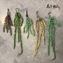 Simulation lover tears hanging orchid pearl beads potted fleshy hanging indoor green planting purple mysterious moon hanging blue hanging blue wedding