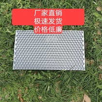 PVC hand-thrown seedling tray throwing rice seedling tray artificial seedling tray thickened white first-class plastic transparent 434-hole seedling tray