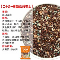  Succulents soil Succulents special nutrient soil Peat planting soil Qianmo soil Paving stone granular soil