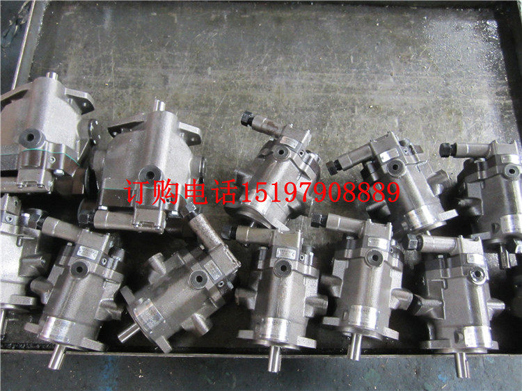 PVB5-LS-20-C-11-PRC PVB5-RSW-20-CC-11-PRC Texas machine bed pump