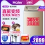 Máy giặt Haier / Haier tự động hộ gia đình 7,5 kg máy phát điện kép không làm sạch MS7518BZ51 - May giặt giá máy giặt toshiba