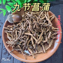 jiu jie chang pu 100g jiu jie chang pu Chinese herbal medicine sulfur-free new non-cheap Acorus tatarinowii Schott large Acorus calamus