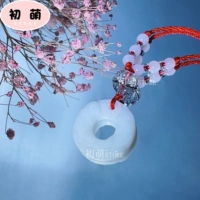 Замазание пинг с пряжкой+мешок для бисеро -коричневого цвета может быть сделан 4 раза