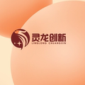 灵龙创新制作室