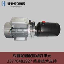 Professional custom micro hydraulic station 380V power unit DC lifting platform lift hydraulic oil