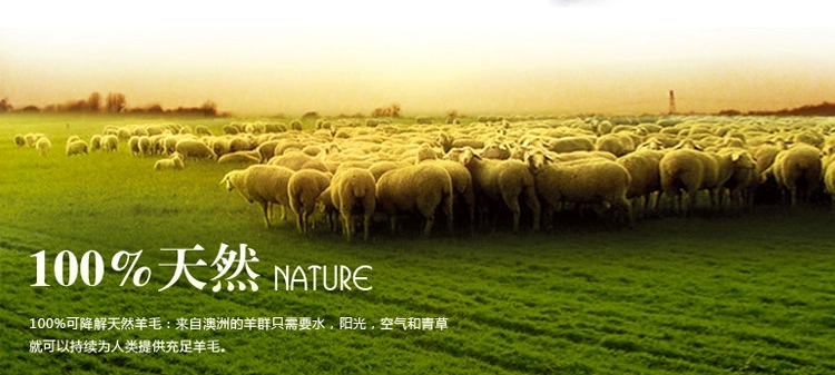 Pantalon collant en cachemire - Ref 748280 Image 14