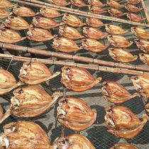 Fishermen self-drying rhubarb fish Wenzhou seafood dry semi-dried fresh frozen slightly salty sauce yellow croaker 350g