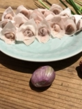 Венчжоу специальное мясо ласточка чистое ручная ручная ласточка пипон выпускник горы горные мясо ласточка хаос