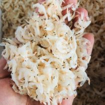 Wenzhou specialty shrimp light dried shrimp skin shrimp 250 grams sea rice dry goods pregnant women baby ready to eat
