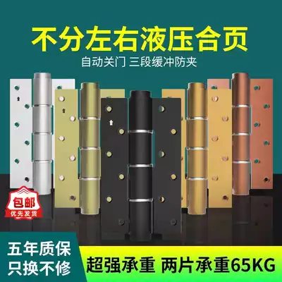 Haida invisible door hinge door closer hydraulic buffer hinge damping spring lotus leaf automatic closing Factory Direct