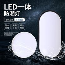 led moisture-proof light explosion-proof light waterproof light dust-proof light bathroom cold storage light outdoor wall light