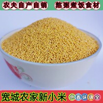 Chengde Kuancheng farmers self-produced millet 2022 new rice porridge ingredients small yellow rice millet 5 catties