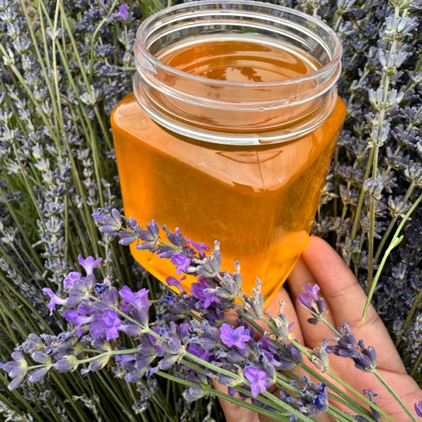 【26 New Lavender Honey】Mature Raw Honey/Natural Raw Honey/For Staying up Late/Late Sleep/Floral Scent, No Additives 【26 New Lavender Honey】Mature Raw Honey/Natural Raw Honey/For Staying up Late/Late Sleep/Floral Scent, No Additives