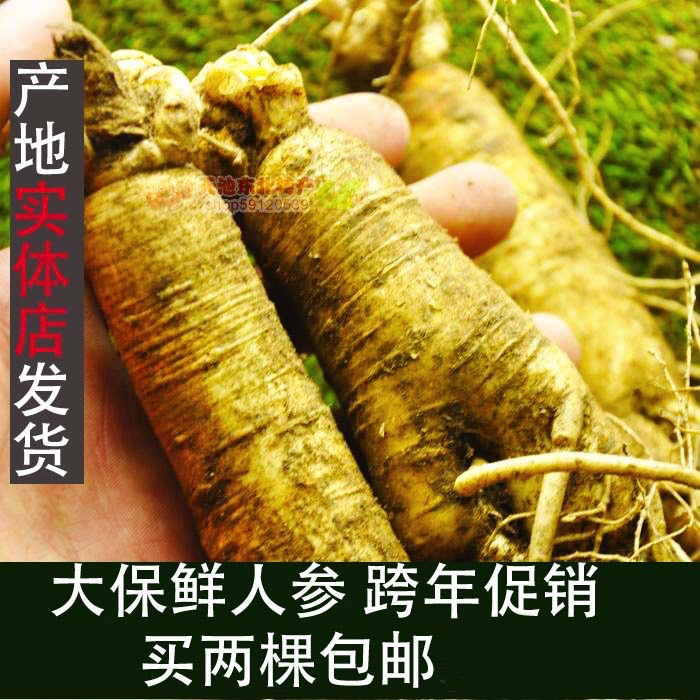 Jilin origin store directly sends fresh ginseng, fresh ginseng, about 160 grams each, in bulk, bubble wine stew