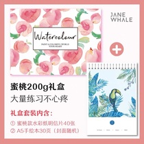 Watercolor Junjane whale new watercolor paper Flamingo gift box 32k fine lines 200g postcard A5 hand-painted sketch