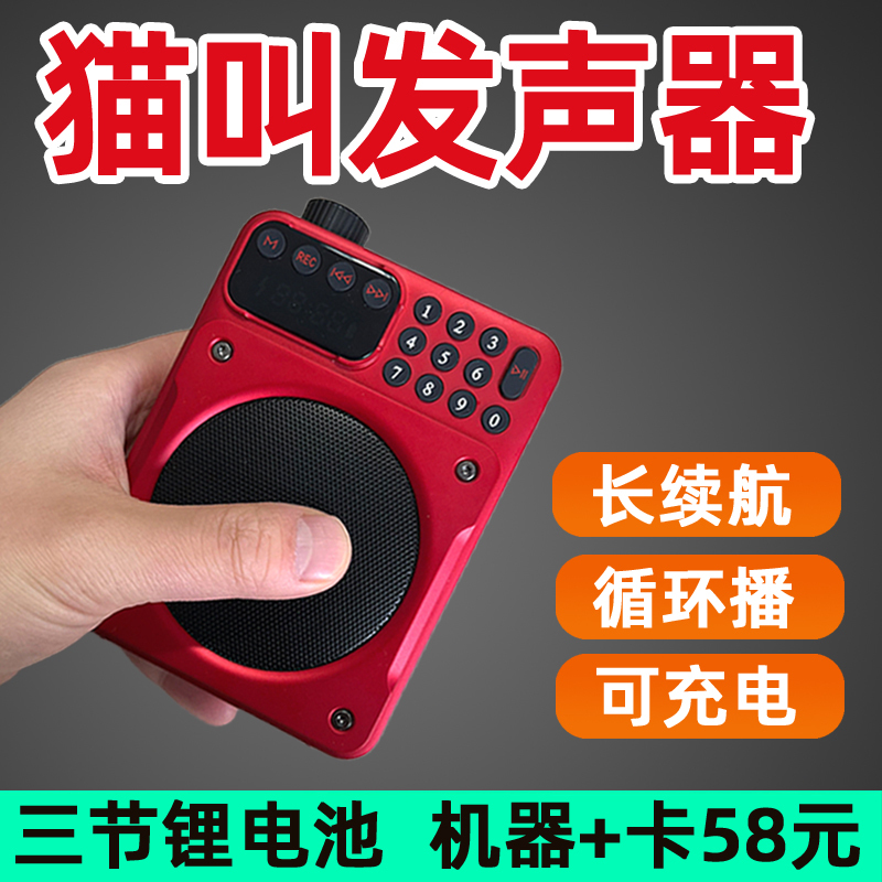 Cat Meowing Sound Device to Scare Away Mice, with Memory Card, High Volume Mouse Repellent Player, Cat Meowing Sound