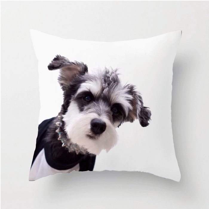 Schnauzer Đệm Gối Pet Dog Xe Đệm Ins Dog Sofa Đệm Văn phòng Bay Bay Gối - Trở lại đệm / Bolsters