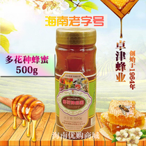 Hainan time-honored Zhuojin honey green food Hainan specialty Zhuojin multi flower honey 500g bottle