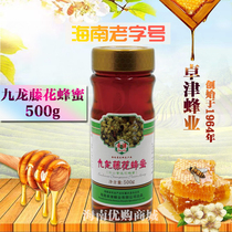 Hainan time-honored brand Zhuojin honey Green food Hainan specialty Zhuojin Kowloon Rattan honey 500g bottle