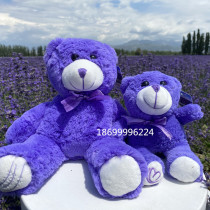 Xinjiang Iplow Lavender Lavender Purple Teddy Bear Paparazzi Fur Suede Toy Girl Birthday Gift And Sleep for Sleep