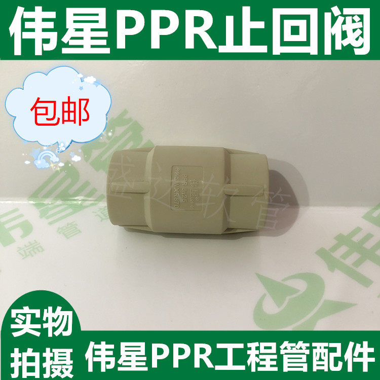 Weixing Gray PPR Engineering Pipe Accessories Gray PPR Check Valve PPR Cold and Hot Water Pipe Accessories Check Valve 25