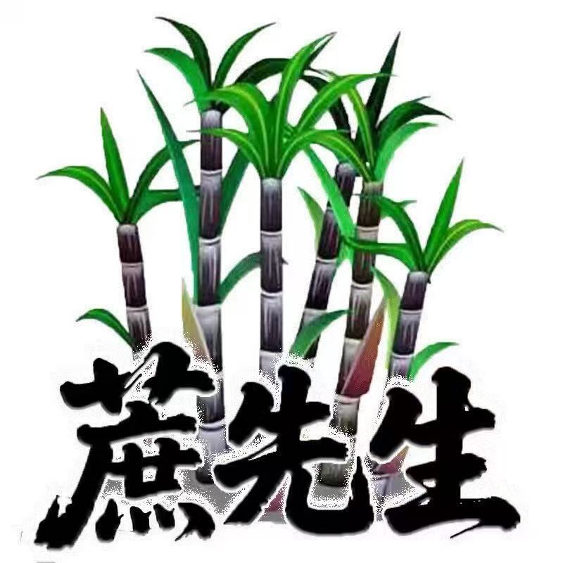 蔗先生生鲜水果官方企业店