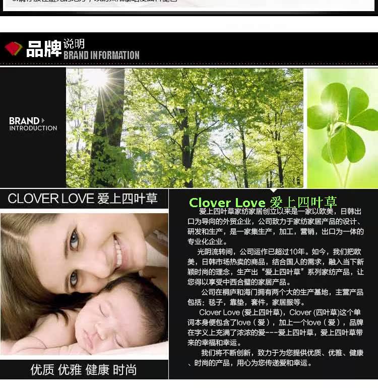 CloverLove床上用品全棉优质磨毛床单式AB版四件套遇见（橘)包邮