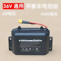 6..5 inch 8 inch 10 inch phổ 36V cân bằng pin xe hơi Nhập khẩu pin 36V hai bánh xe xoắn pin - Smart Scooter xe điện cân bằng giá rẻ