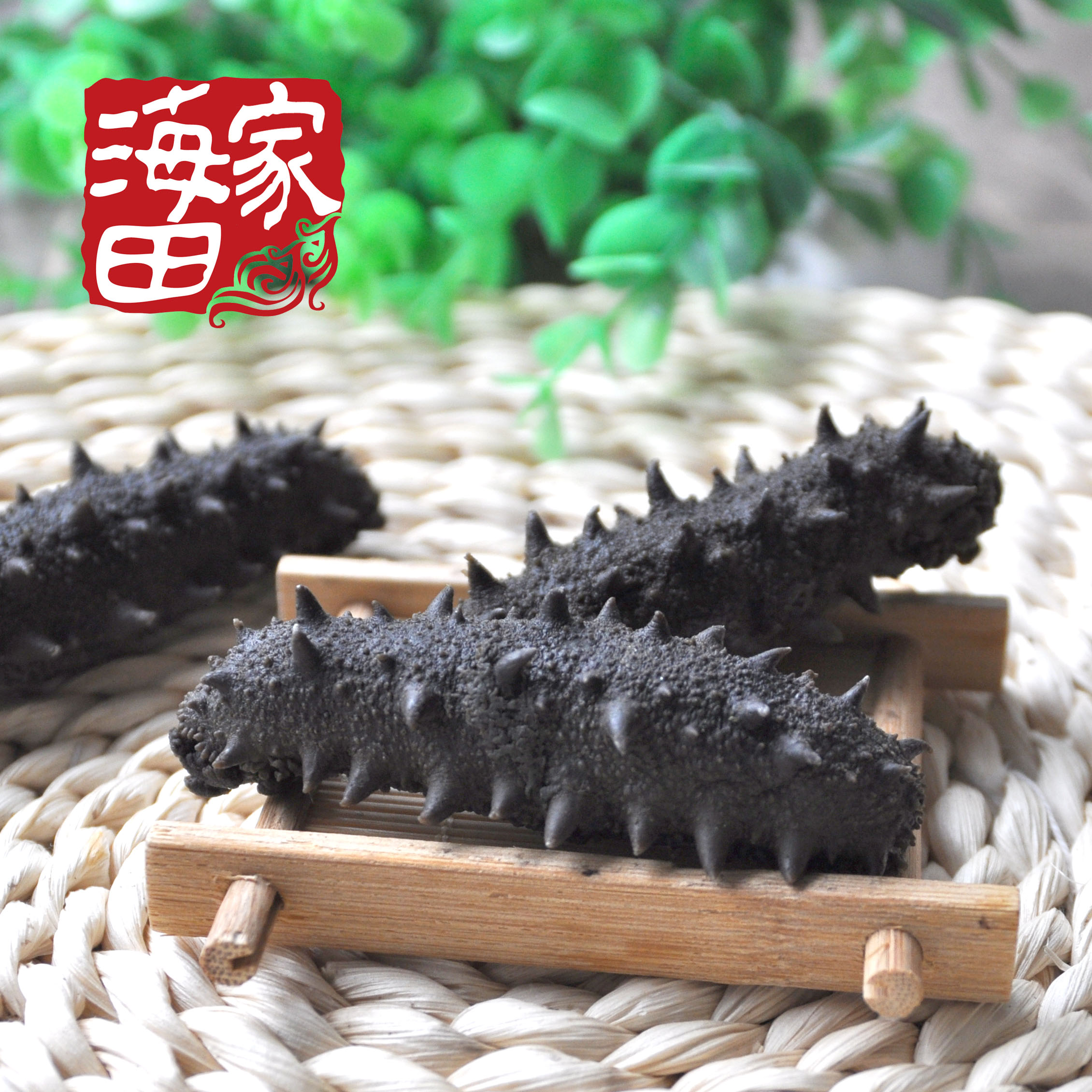 Yantai Long Island Daqin Island sea cucumber sea cucumber pull cylinder salt sea cucumber origin Haitian home 500 grams