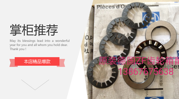 ZF - 250 300 planet gear plane - bearing springs in ZF - 250 German