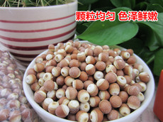 Эвриала устрашающая свирепый 新货芡实500g红皮芡实鸡头米干货茨实仁芡石五谷杂粮 多省包邮