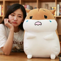 Коричневый крик