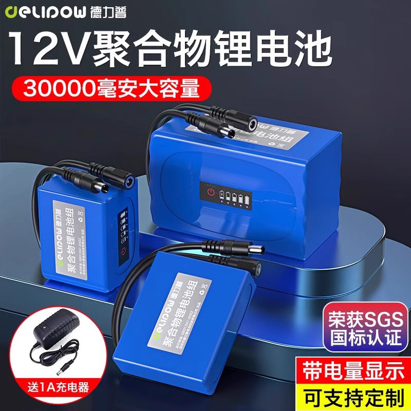 德力普12V锂电池组大容量24伏充电电瓶 防蜂服LED灯专用聚合物移动电源 赠DIY转接头