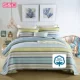 Khăn trải giường bằng vải bông của Mỹ có ba lớp điều hòa không khí là mùa hè - Trải giường thảm nhung trải giường