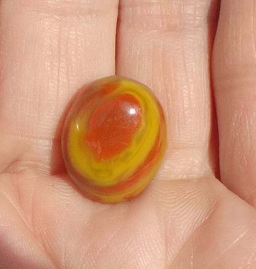 Natural tree fossil strange stone sightseeing stone wolf fin fish chrysanthemum stone leaf North ticket boutique Warring States red onyx block 2298