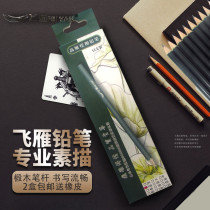  Feiyan drawing pencil Green pole pencil exam drawing sketch pencil Carbon and ink in one 14B extra thick 12B