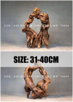 Natural sinkwood fish tank building II Horse 31-40cm small number type fish tank swinging piece decorated with purple teak wood free of cooking