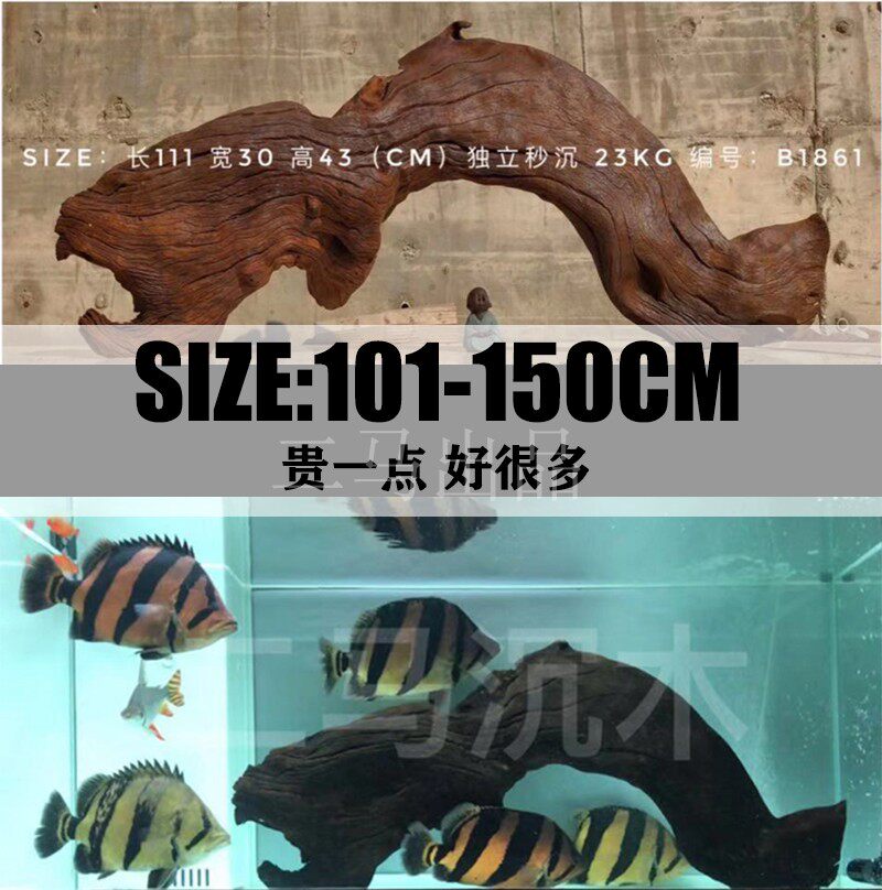2 horse boutique 1 - 1 5m aquarium scenic wood large violet teak tank tank purple teak arch bridge is not cooked