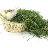 Бесплатная доставка 23 года южного запеченного тимори трава дельфин кролик кролик голландский свиная триппот Totoro высушенные Murlite 1 кг