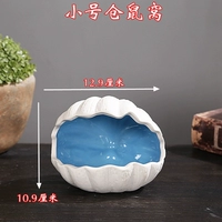 小号蓝色贝壳屋