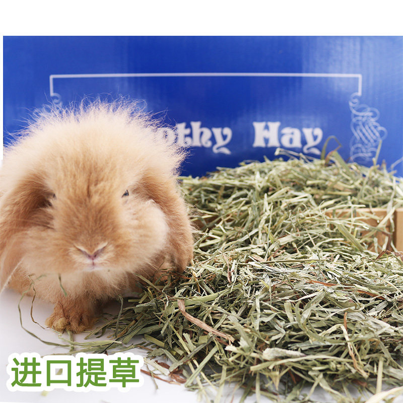 Canadian snow - tie Dutch pig pig cat Timothy herd hay net weight of 1kg